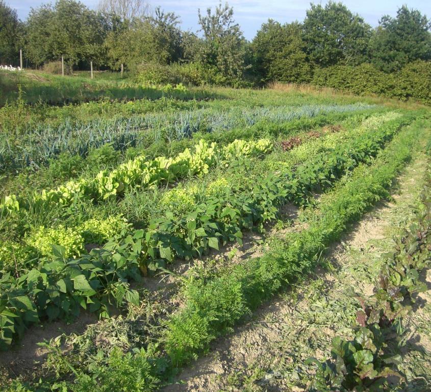 Gites De La Ferme Auberge De Mesauboin Billé Kültér fotó